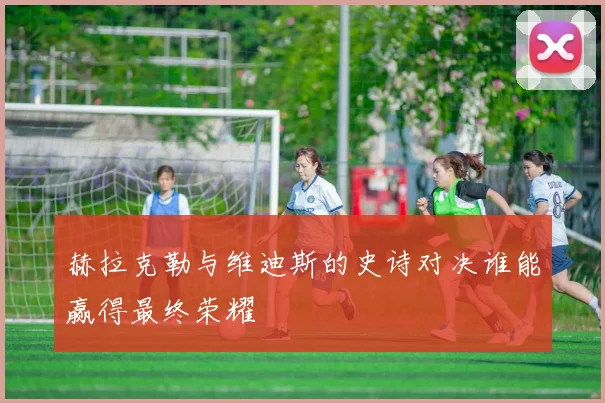 赫拉克勒与维迪斯的史诗对决谁能赢得最终荣耀