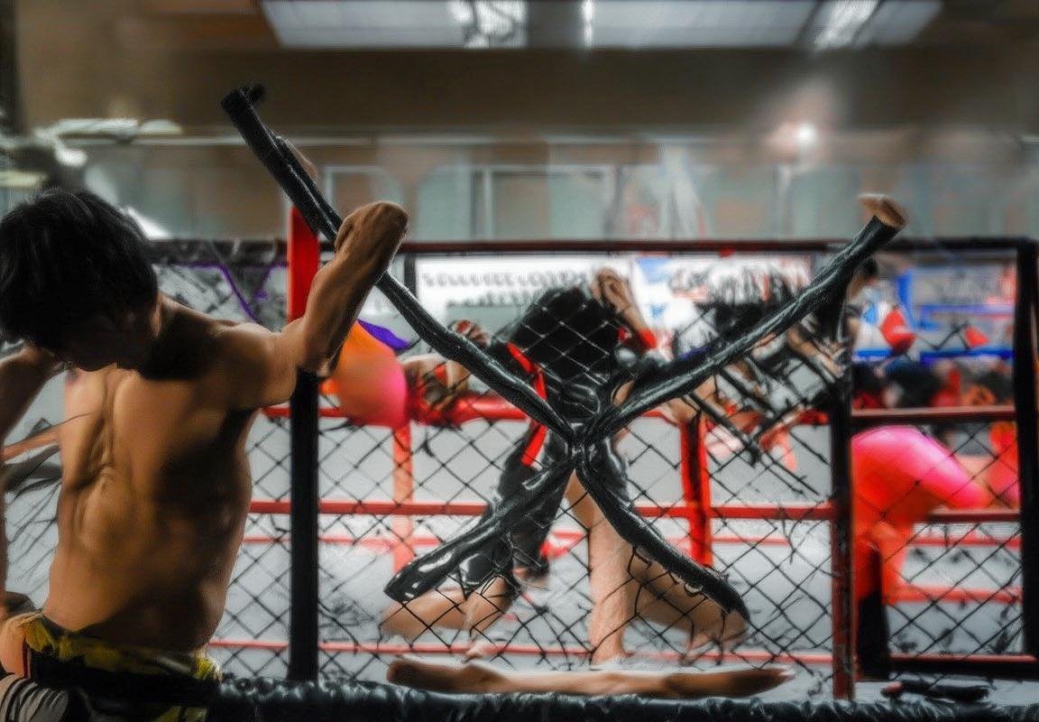 菲多·艾米连科VS青木真也：巅峰对决MMA王者之战深度分析